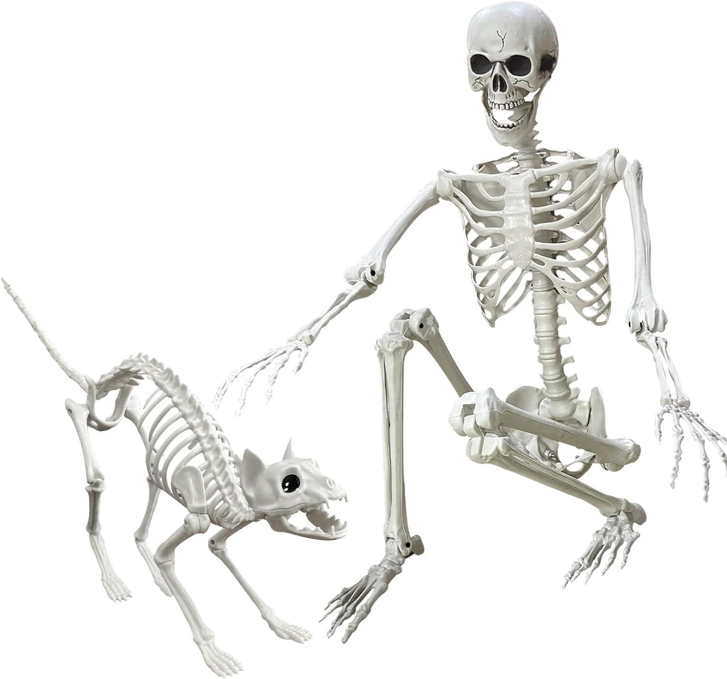 5.4 Ft Halloween Posable Skeletons Realistic and Cat Skeleton ...